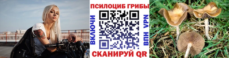 Псилоцибиновые грибы Cubensis  мега ссылка  Крым 